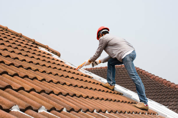 Roof Coating Services in Rolla, MO