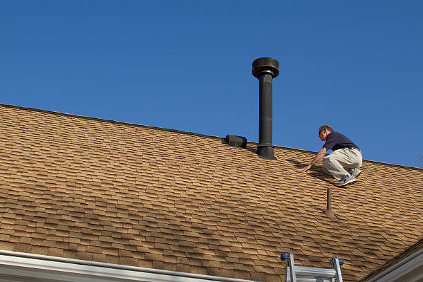 Best Roof Moss and Algae Removal  in Rolla, MO